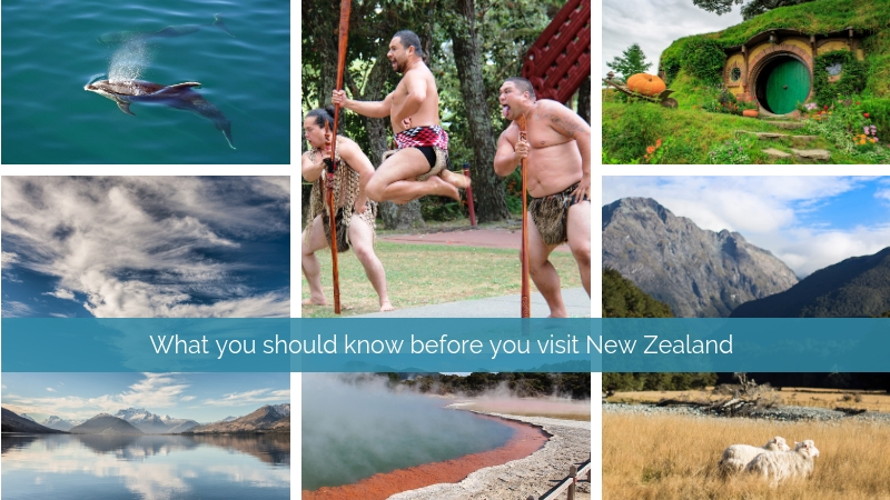What you should know before you visit New Zealand